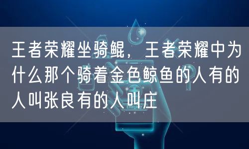 王者荣耀坐骑鲲，王者荣耀中为什么那个骑着金色鲸鱼的人有的人叫张良有的人叫庄