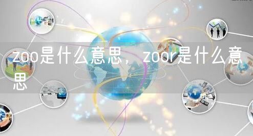 zoo是什么意思，zoor是什么意思