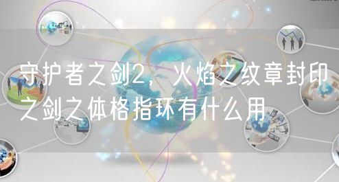 守护者之剑2,火焰之纹章封印之剑之体格指环有什么用