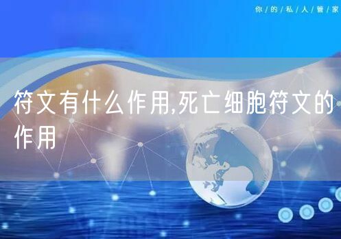 符文有什么作用,死亡细胞符文的作用