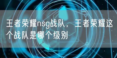 王者荣耀nsg战队,王者荣耀这个战队是哪个级别