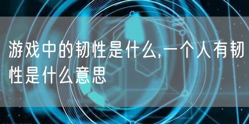 游戏中的韧性是什么,一个人有韧性是什么意思