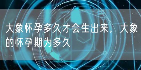 大象怀孕多久才会生出来,大象的怀孕期为多久