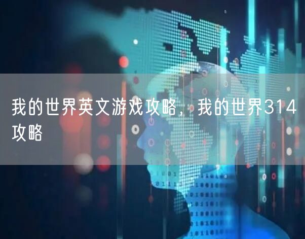 我的世界英文游戏攻略，我的世界314攻略