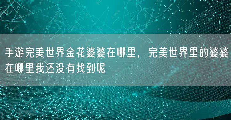 手游完美世界金花婆婆在哪里，完美世界里的婆婆在哪里我还没有找到呢