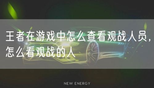 王者在游戏中怎么查看观战人员，怎么看观战的人