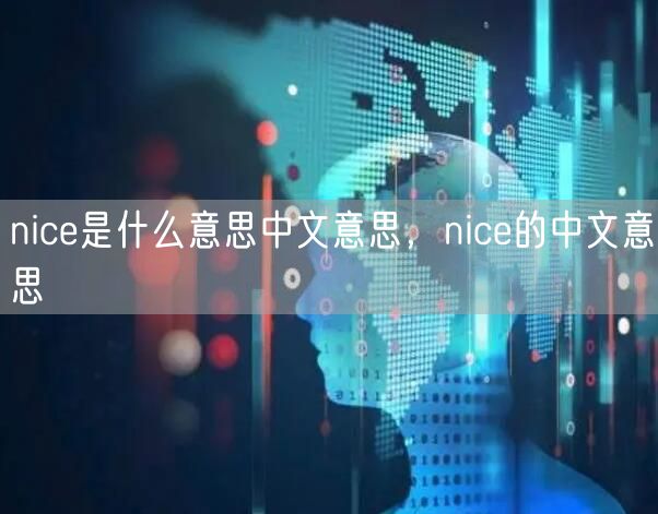 nice是什么意思中文意思,nice的中文意思