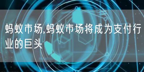 蚂蚁市场,蚂蚁市场将成为支付行业的巨头