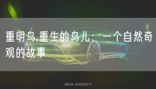 重明鸟,重生的鸟儿：一个自然奇观的故事