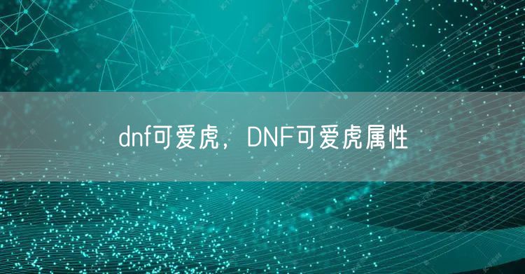 dnf可爱虎，DNF可爱虎属性