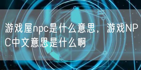 游戏屋npc是什么意思，游戏NPC中文意思是什么啊