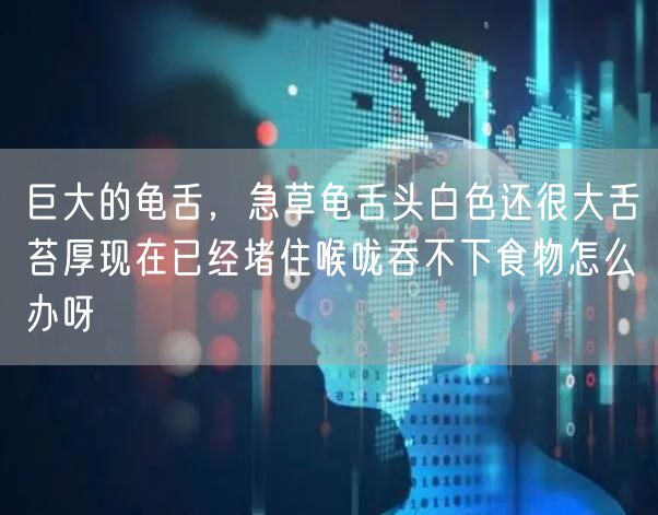 巨大的龟舌，急草龟舌头白色还很大舌苔厚现在已经堵住喉咙吞不下食物怎么办呀