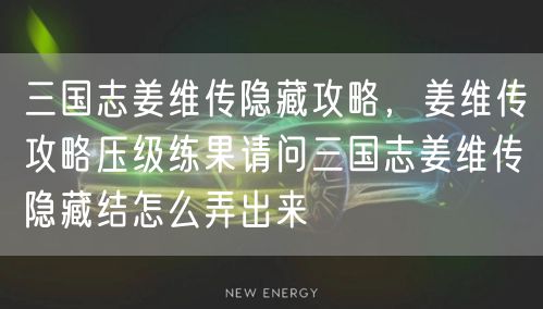 三国志姜维传隐藏攻略,姜维传攻略压级练果请问三国志姜维传隐藏结怎么弄出来