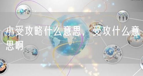 小受攻略什么意思,受攻什么意思啊