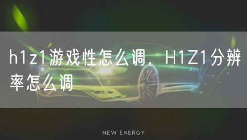 h1z1游戏性怎么调，H1Z1分辨率怎么调