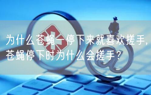 为什么苍蝇一停下来就喜欢搓手,苍蝇停下时为什么会搓手？