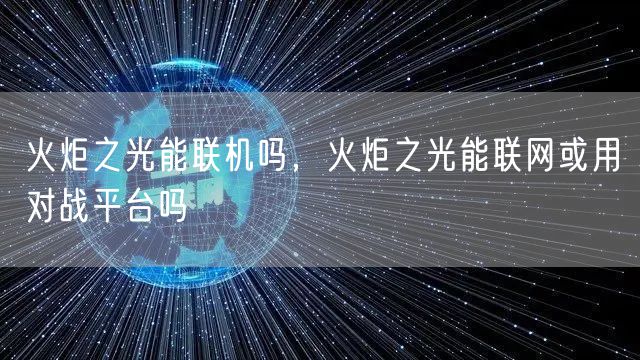 火炬之光能联机吗,火炬之光能联网或用对战平台吗