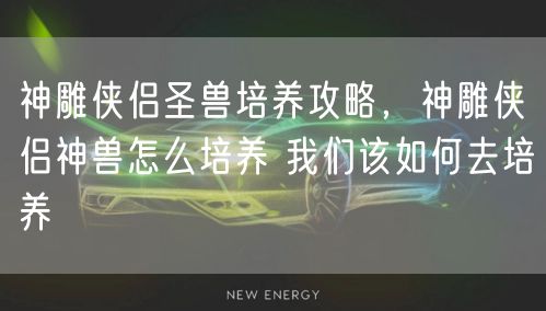 神雕侠侣圣兽培养攻略，神雕侠侣神兽怎么培养 我们该如何去培养