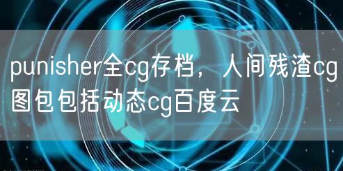 punisher全cg存档，人间残渣cg图包包括动态cg百度云
