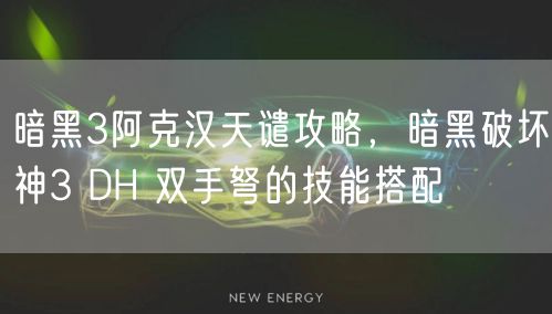 暗黑3阿克汉天谴攻略，暗黑破坏神3 DH 双手弩的技能搭配
