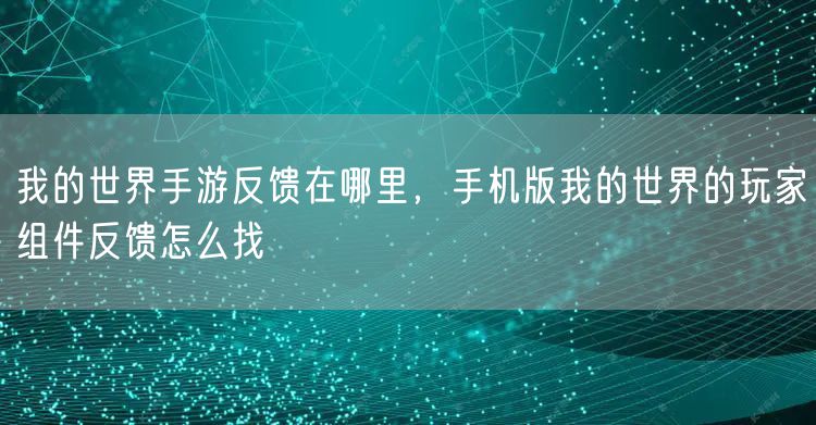 我的世界手游反馈在哪里，手机版我的世界的玩家组件反馈怎么找