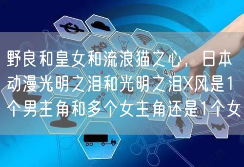 野良和皇女和流浪猫之心,日本动漫光明之泪和光明之泪X风是1个男主角和多个女主角还是1个女
