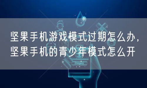 坚果手机游戏模式过期怎么办，坚果手机的青少年模式怎么开