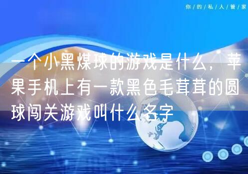 一个小黑煤球的游戏是什么,苹果手机上有一款黑色毛茸茸的圆球闯关游戏叫什么名字