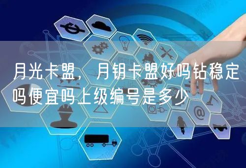 月光卡盟，月钥卡盟好吗钻稳定吗便宜吗上级编号是多少