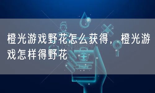 橙光游戏野花怎么获得，橙光游戏怎样得野花