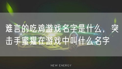 难言的吃鸡游戏名字是什么，突击手蜜獾在游戏中叫什么名字