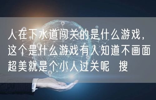 人在下水道闯关的是什么游戏，这个是什么游戏有人知道不画面超美就是个小人过关呢  搜