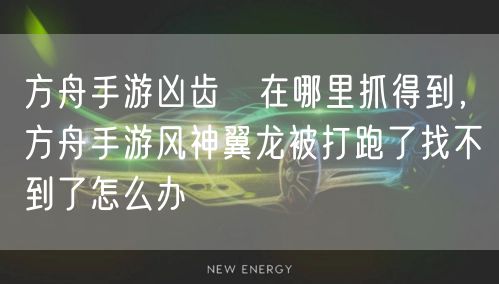 方舟手游凶齿豨在哪里抓得到，方舟手游风神翼龙被打跑了找不到了怎么办