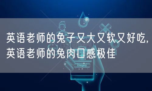 英语老师的兔子又大又软又好吃,英语老师的兔肉口感极佳