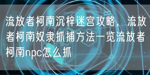 流放者柯南沉梓迷宫攻略,流放者柯南奴隶抓捕方法一览流放者柯南npc怎么抓