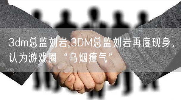 3dm总监刘岩,3DM总监刘岩再度现身，认为游戏圈“乌烟瘴气”