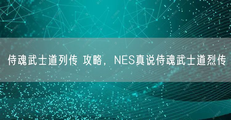 侍魂武士道列传 攻略，NES真说侍魂武士道烈传