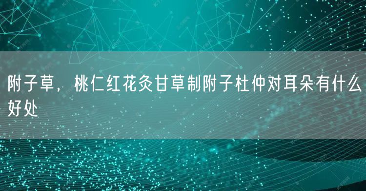 附子草，桃仁红花灸甘草制附子杜仲对耳朵有什么好处