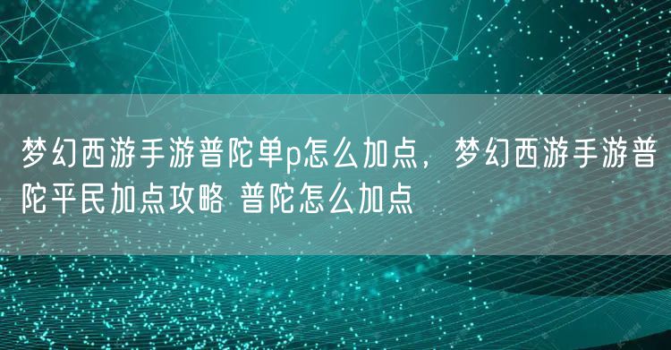 梦幻西游手游普陀单p怎么加点，梦幻西游手游普陀平民加点攻略 普陀怎么加点