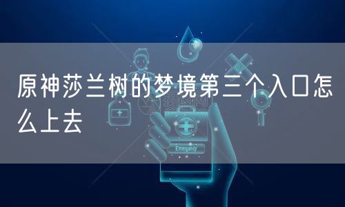 原神莎兰树的梦境第三个入口怎么上去