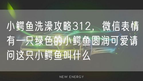 小鳄鱼洗澡攻略312，微信表情有一只绿色的小鳄鱼圆润可爱请问这只小鳄鱼叫什么