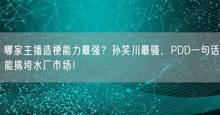 哪家主播造梗能力最强？孙笑川最骚，PDD一句话能搞垮水厂市场！