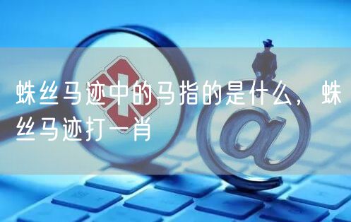 蛛丝马迹中的马指的是什么，蛛丝马迹打一肖