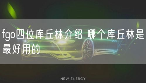 fgo四位库丘林介绍 哪个库丘林是最好用的