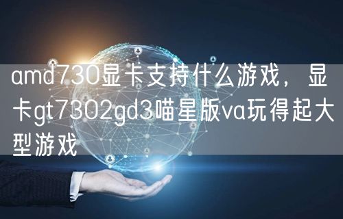 amd730显卡支持什么游戏,显卡gt7302gd3喵星版va玩得起大型游戏