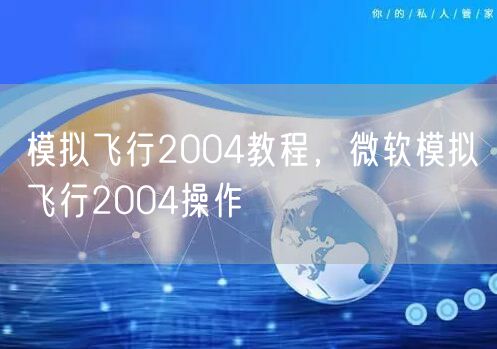 模拟飞行2004教程，微软模拟飞行2004操作