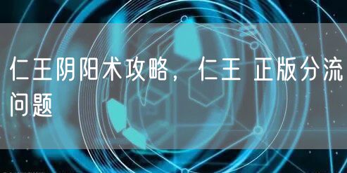 仁王阴阳术攻略，仁王 正版分流问题
