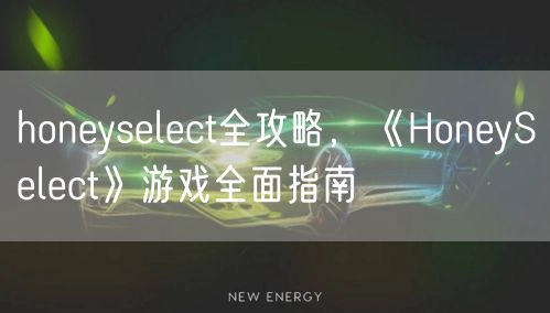 honeyselect全攻略，《HoneySelect》游戏全面指南