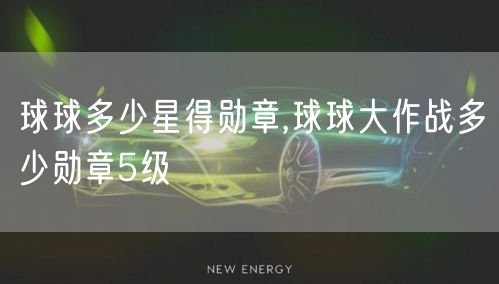 球球多少星得勋章,球球大作战多少勋章5级