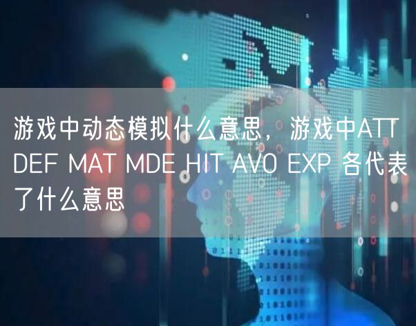 游戏中动态模拟什么意思，游戏中ATT DEF MAT MDE HIT AVO EXP 各代表了什么意思